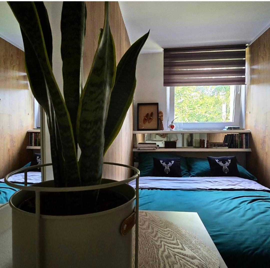 Na Rowni Krupowej Apartment Zakopane